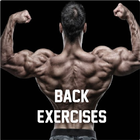 Back Exercises icon