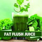 Fat Burning Juices 图标