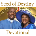 Seed of Destiny Zeichen