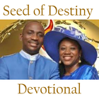 Seed of Destiny icône