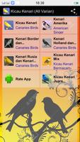 Canaries Birdsong All Varian poster