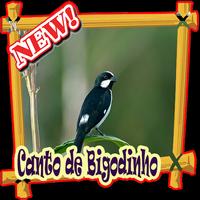 پوستر Canto de Bigodinho Offline