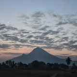 Arunachala LIVE icône