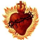 Sacred Heart of Jesus Chapel APK