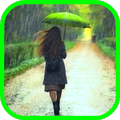 Rain Sounds
