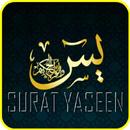 APK Suratul Al-Yasin