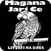 Littafin Magana Jarice
