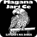 Littafin Magana Jarice APK