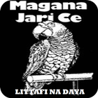 Littafin Magana Jarice icon