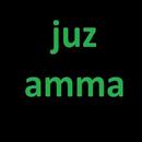 Abdul Basit Juz Amma MP3 APK