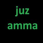 Abdul Basit Juz Amma MP3 icône