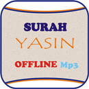 Surah Yasin Offline Mp3 APK
