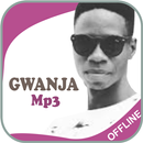 Wakokin Ado Gwanja APK