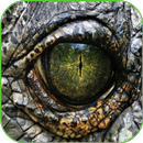 Suara dinosaurus APK