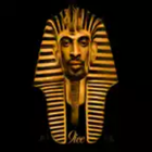 9ice Ancestor иконка