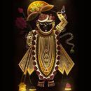 Shrinathji Aarti Bhajan Audio APK