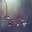 relaxing rain