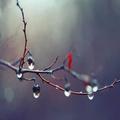 relaxing rain