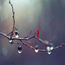 relaxing rain APK