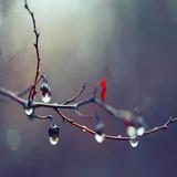 relaxing rain simgesi