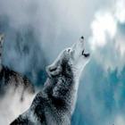 Native American flute music Zeichen