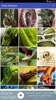 برنامه‌نما Snake Wallpaper عکس از صفحه