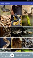 برنامه‌نما Snake Wallpaper عکس از صفحه