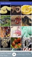 Snake Wallpapers ภาพหน้าจอ 1