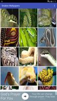 Snake Wallpapers syot layar 2