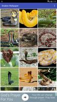 Snakes Wallpaper Plakat