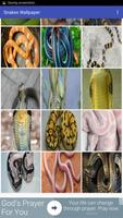 Snakes Wallpaper 스크린샷 2