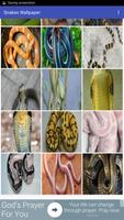 Snakes Wallpaper syot layar 2