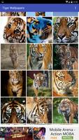Tiger Wallpapers 截图 1