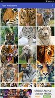 Tiger Wallpapers 截图 2
