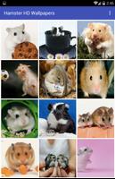 Hamster HD Wallpapers Affiche