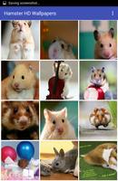 Hamster HD Wallpapers تصوير الشاشة 1