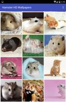 Hamster HD Wallpapers تصوير الشاشة 2