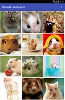 Hamster Wallpaper Affiche