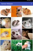 Hamster Wallpaper স্ক্রিনশট 1