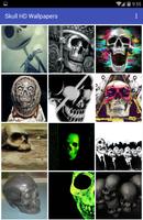 Skull HD Wallpapers скриншот 1