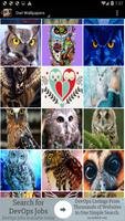Owl Wallpapers captura de pantalla 2