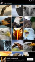 Eagle Wallpapers پوسٹر