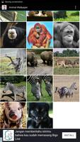 Animal Wallpaper اسکرین شاٹ 2