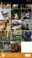 Animal Wallpapers ภาพหน้าจอ 2