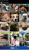 Dog Wallpaper ภาพหน้าจอ 1