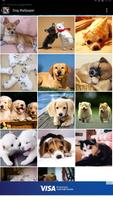 Dog Wallpaper ภาพหน้าจอ 2