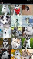 Dog Wallpapers الملصق