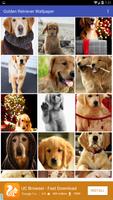 Golden Retriever Wallpaper poster