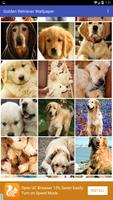 Golden Retriever Wallpaper screenshot 2