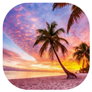 APK Beautiful Sunset Wallpaper